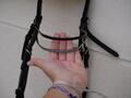 bridon +renne