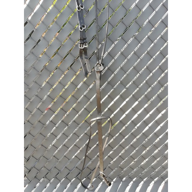 HOWLETT avec rênes à anneaux