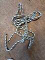 Licole éthologique