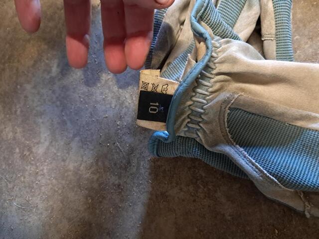 Gants