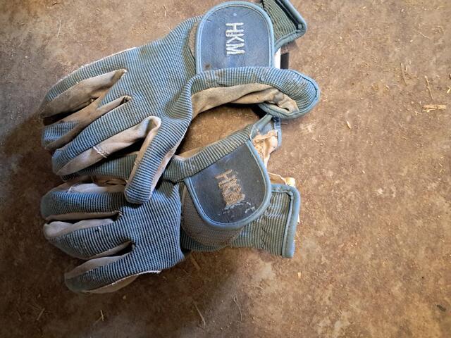 Gants