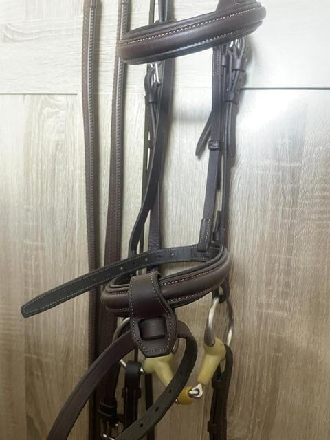 Bridon CWD + rênes