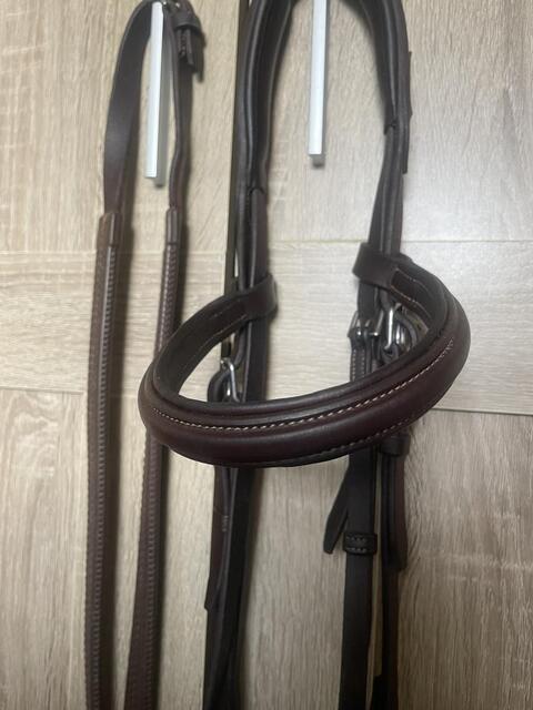 Bridon CWD + rênes