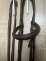 Bridon CWD + rênes