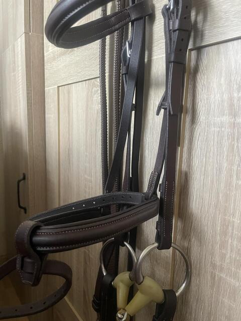 Bridon CWD + rênes