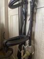 Bridon CWD + rênes