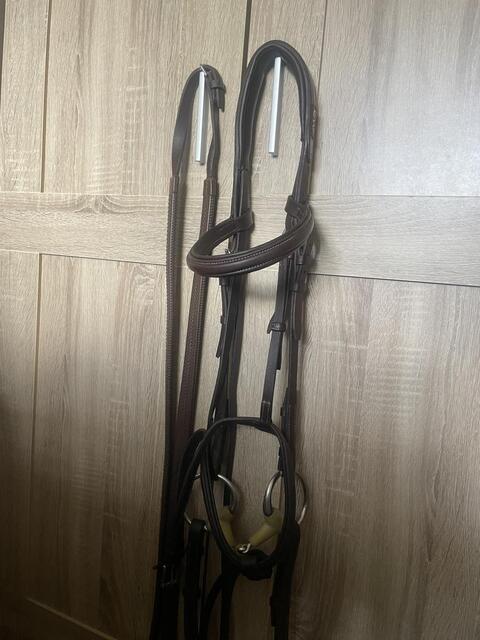 Bridon CWD + rênes