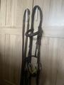 Bridon CWD + rênes