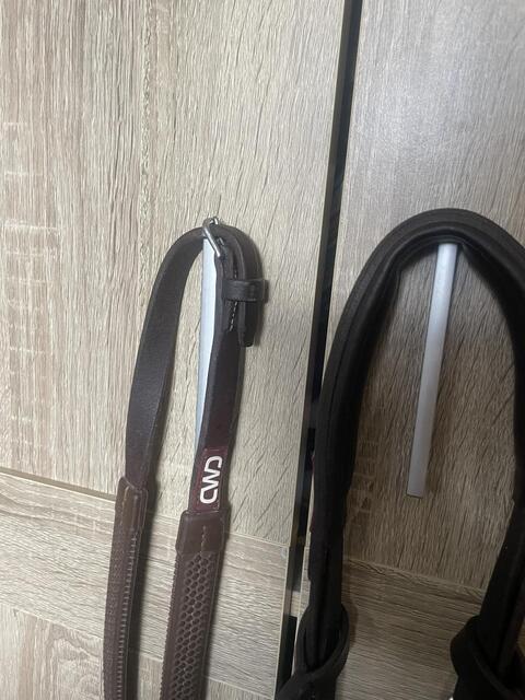 Bridon CWD + rênes