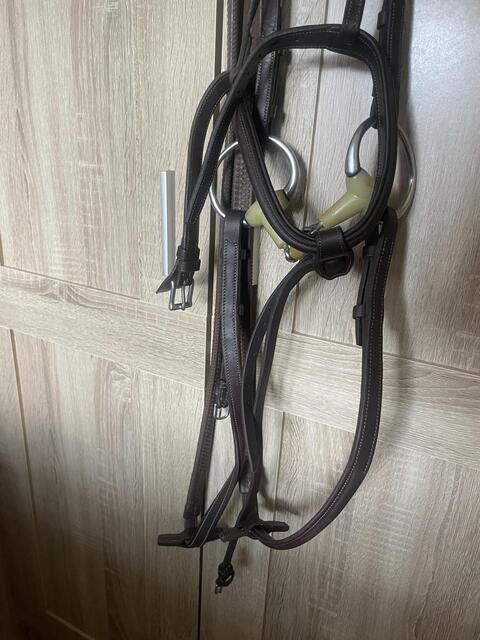 Bridon CWD + rênes