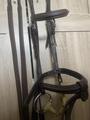 Bridon CWD + rênes
