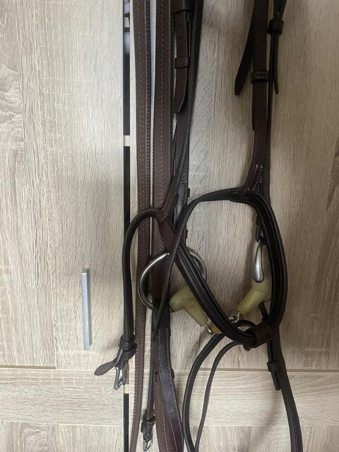 Bridon CWD + rênes