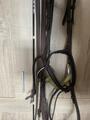 Bridon CWD + rênes