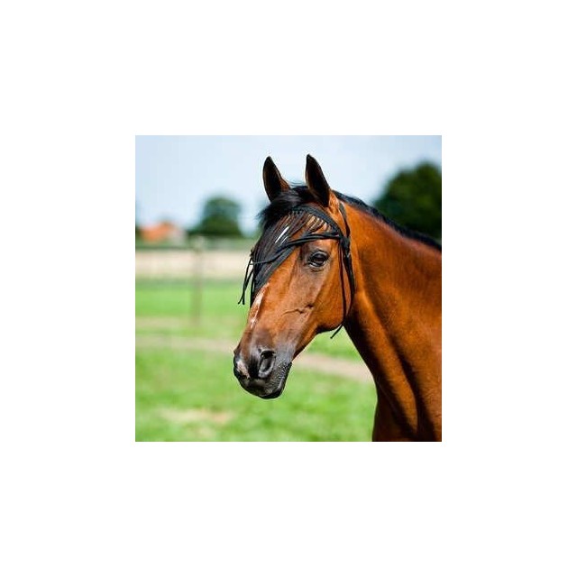 frange anti mouche noir cheval
