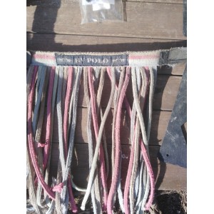 Frontal chasse mouche