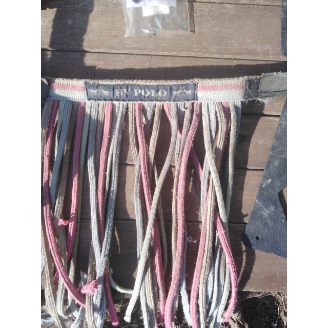 Frontal chasse mouche