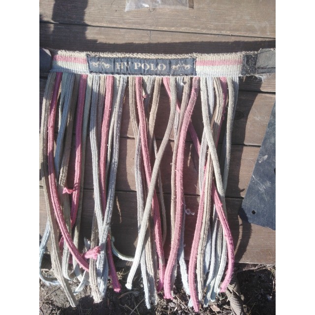 Frontal chasse mouche