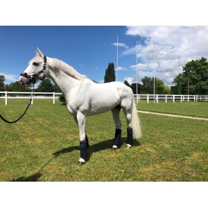 Support ligamentaire stable boots - Topaze Anterieur