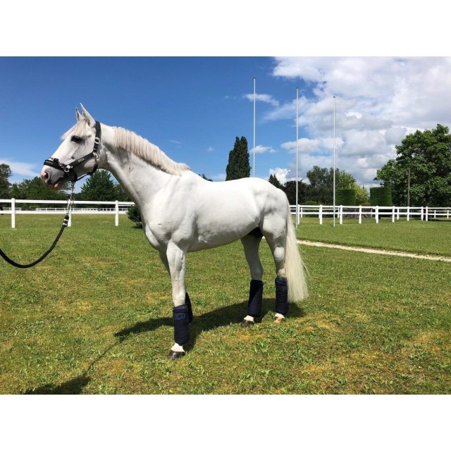 Support ligamentaire stable boots - Topaze Anterieur