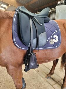 Selle dressage Isabell Werth