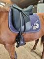Selle dressage Isabell Werth