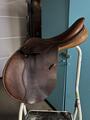 Selle trainer’s