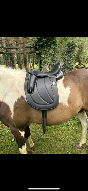 Selle dressage 16,5 cuir