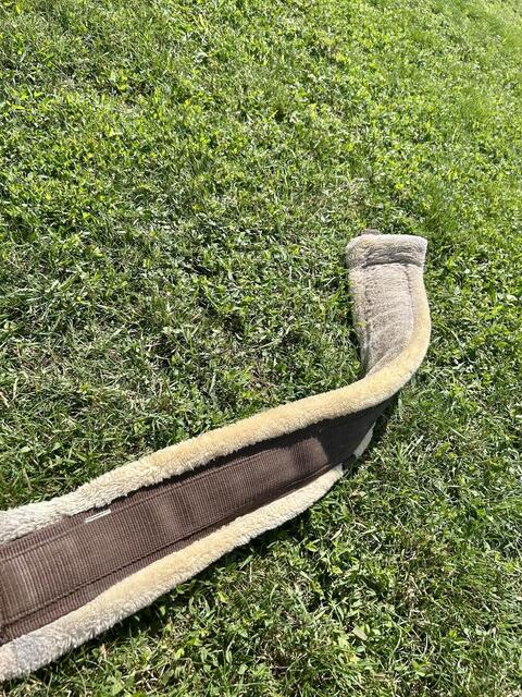 Sangle Norton Smooth 115cm