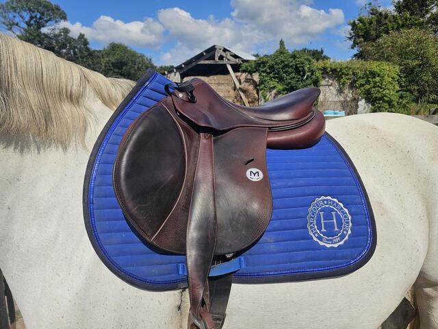 Selle Meyer Marianne 17.5" havane