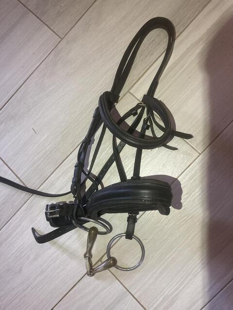 Bridon time rider complet