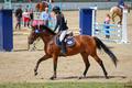 Veste de concours Cavalleria Toscana