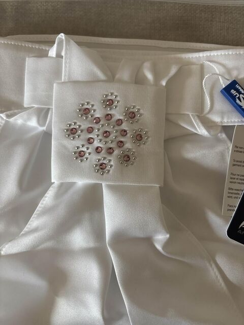 NEUF PLASTRON ASUP