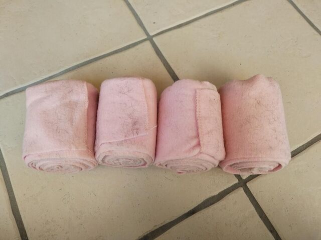 Bandes de polo