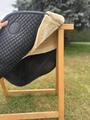 tapis bleu Félix Bühler