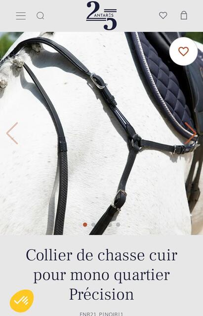 Collier de chasse Antares