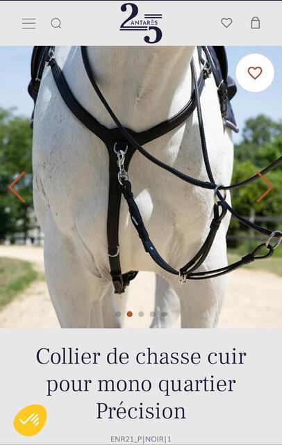 Collier de chasse Antares