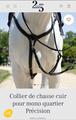 Collier de chasse Antares