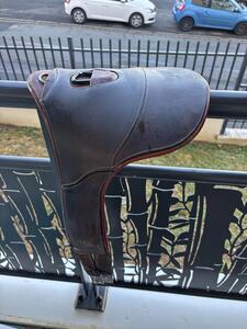Bavette Renaissance anatomique