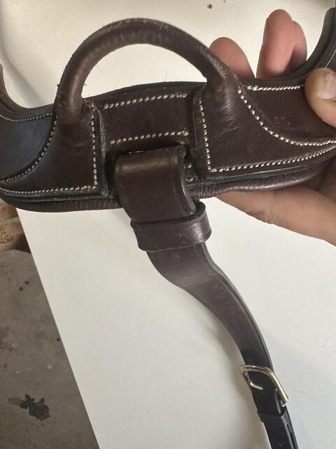 Collier de chasse dyon