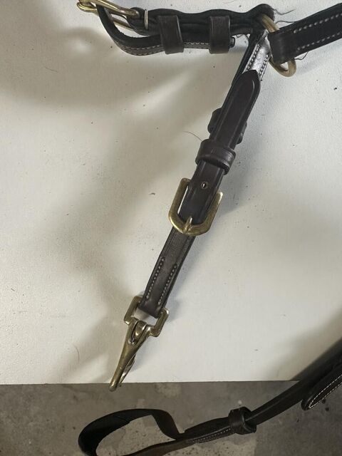 Collier de chasse dyon