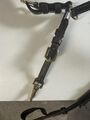 Collier de chasse dyon