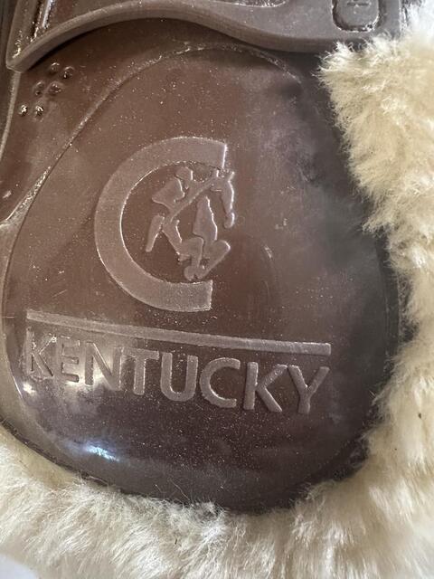 Guetre Kentucky
