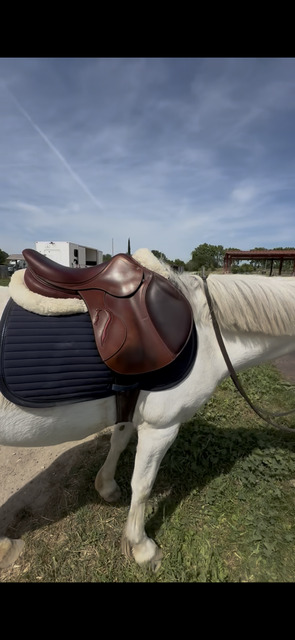 selle antares active