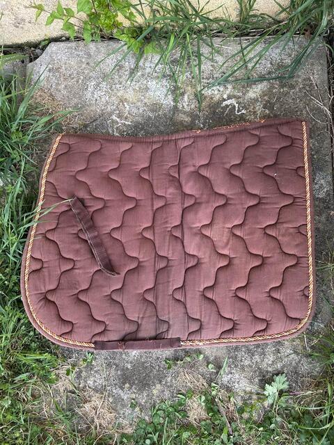 Tapis