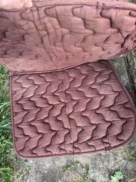 Tapis