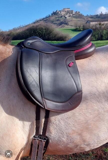 Selle Ikonic
