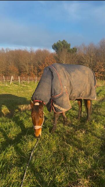 Couverture Titan Trio cheval