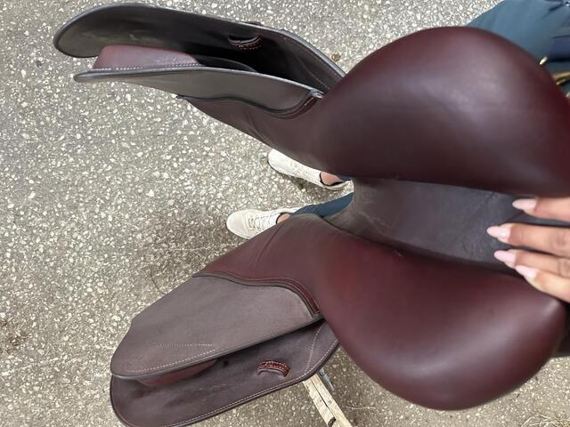Selle NEUVE CWD CLASSIQUE