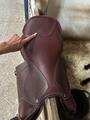 Selle NEUVE CWD CLASSIQUE