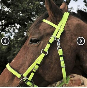 BRIDON ENDURANCE jaune fluo